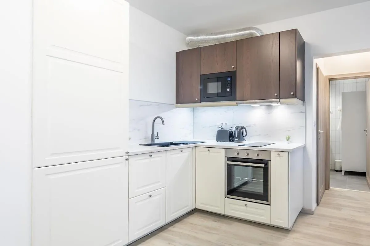 Vh103 Apartment 布达佩斯 匈牙利